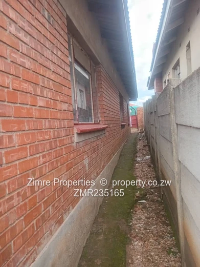 Investment Opportunity 