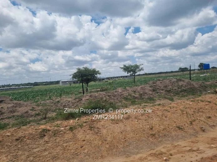 Tree Top Gweru After Toll Gate