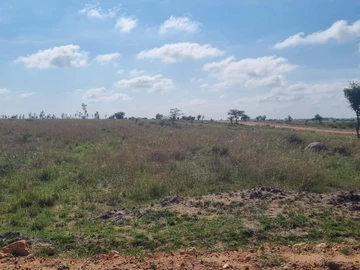 Farm & Agricultural Land