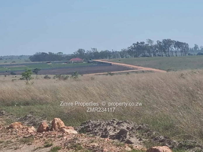 Tree Top Gweru After Toll Gate